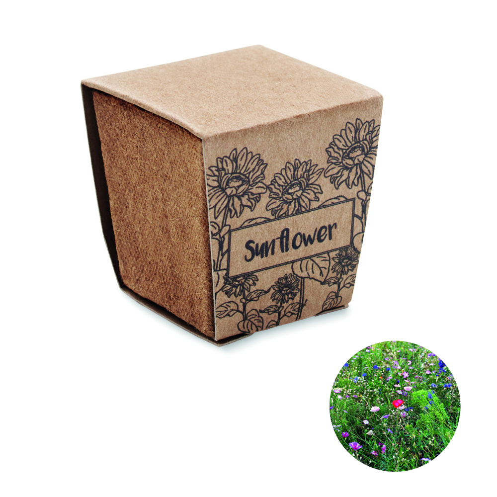 Logotrade corporate gift image of: Sunflower growing kit
