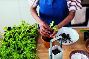 Logo trade promotional product photo of: Indoor garden with LED light