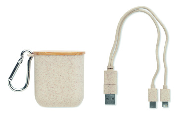 Logotrade promotional giveaway picture of: Cable set in case