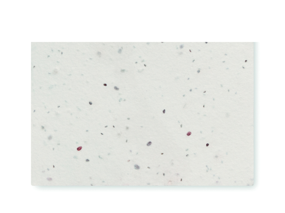 Logo trade promotional gifts image of: Wildflower seed business card.