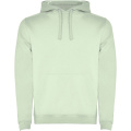 Urban men's hoodie, Mist Green
