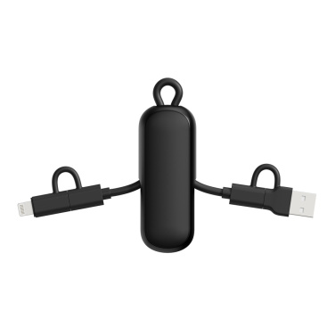 Logo trade promotional items picture of: Urban Vitamin Dublin 100W 4 -in-1 keychain cable