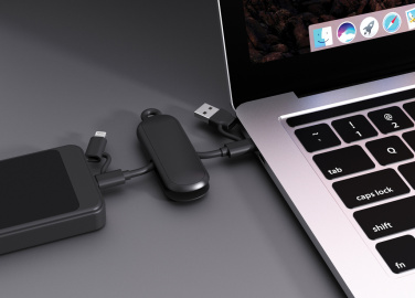 Logo trade promotional gift photo of: Urban Vitamin Dublin 100W 4 -in-1 keychain cable