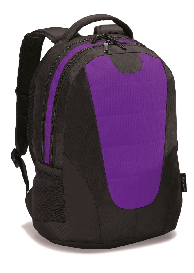 Logotrade firmakingitused pilt: ##Sülearvuti 14" seljakott Colorissimo, lilla
