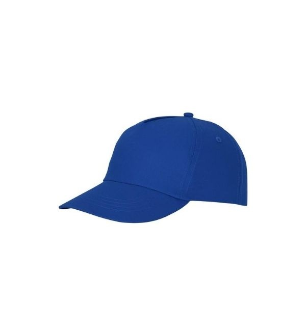 Logotrade meened pilt: Nokamüts Feniks 5 paneeli, sinine