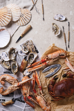 Logotrade firmakingitused pilt: VINGA "Story of Seafood" mereannikomplekt