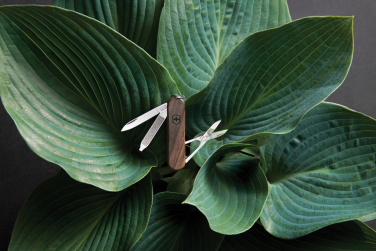 Logotrade firmakingi foto: VICTORINOX taskunuga Classic SD puidust käepidemega