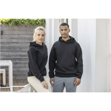 Logotrade firminės dovanos nuotrauka: „Danali“ unisex sportinis džemperis su gobtuvu