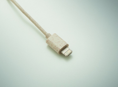 Logotrade Ideja dāvanas foto: Kabeļu komplekts korpusā