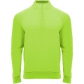 Epiro långärmad unisex sweatshirt med kvartslång dragkedja, Fluor Grön