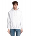 CONDOR Unisex Hoodie, Aska